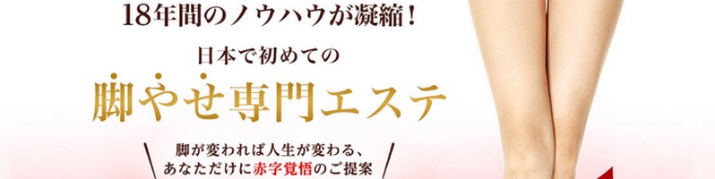 ����̌��v���O����,�r�₹���G�X�e�w���t�B�[�g�x���T�C�g